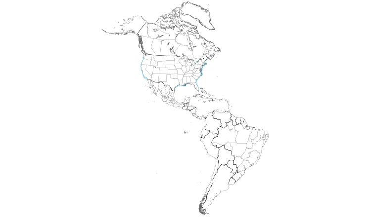 Range Map (Americas): Little Gull