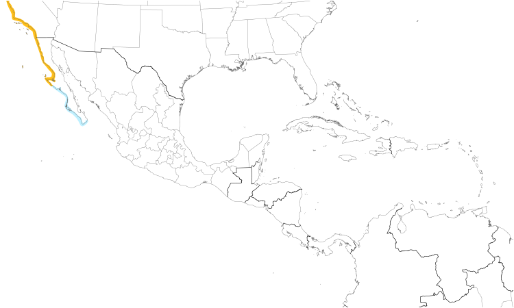 Range Map (Central): Western Gull