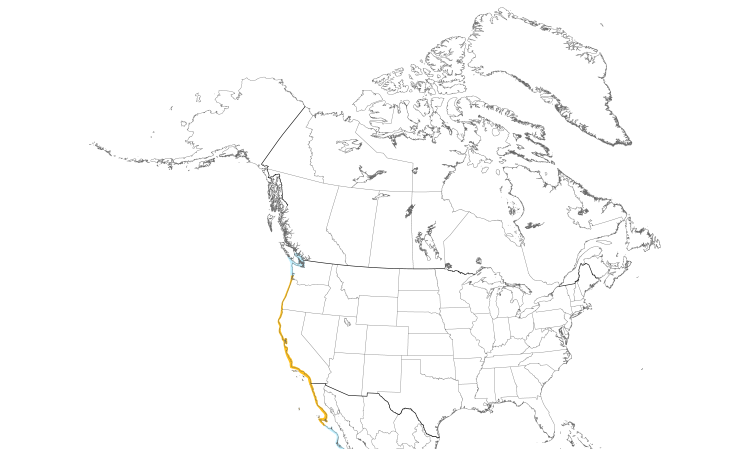 Range Map (North): Western Gull