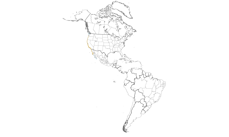 Range Map (Americas): Western Gull