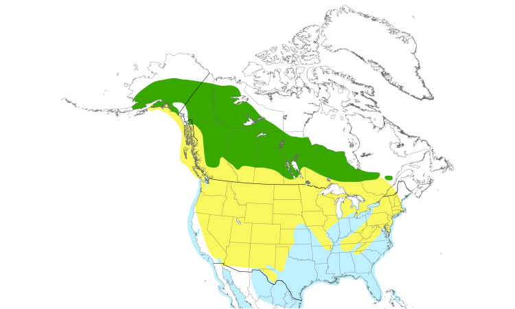 Range Map (North): Bonaparte's Gull
