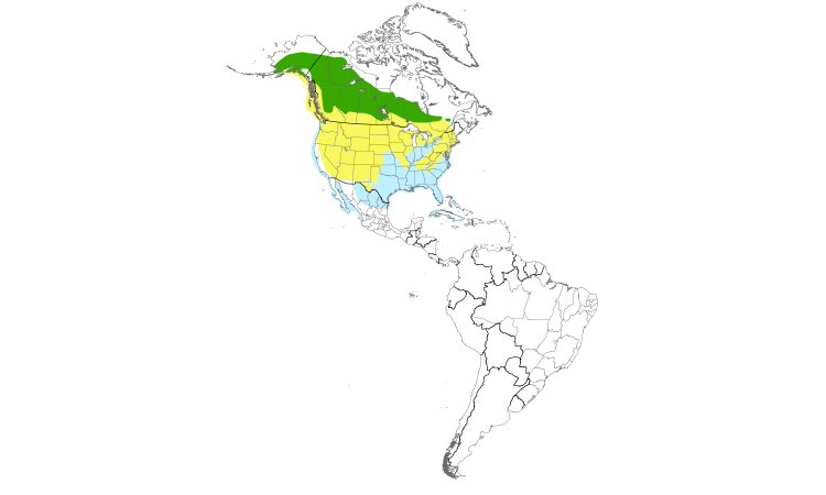 Range Map (Americas): Bonaparte's Gull