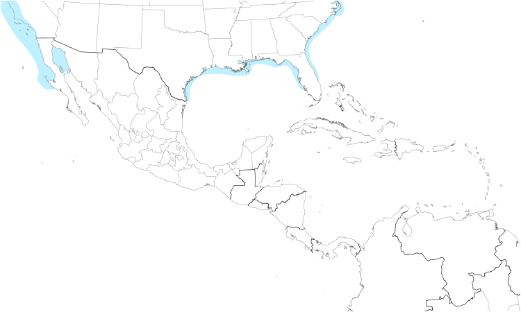 Range Map (Central): Thayer's Gull