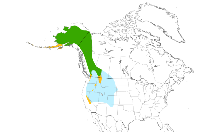 Range Map (North): Gray-crowned Rosy-Finch