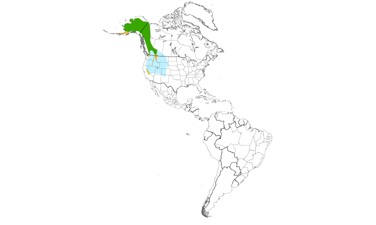 Range Map (Americas): Gray-crowned Rosy-Finch