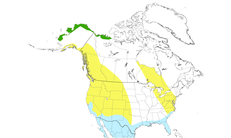 Range Map (North): Long-billed Dowitcher