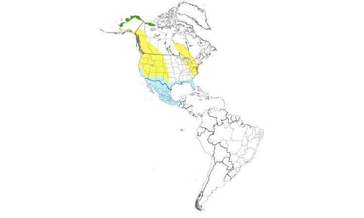Range Map (Americas): Long-billed Dowitcher