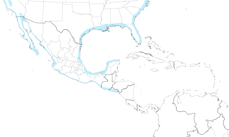 Range Map (Central): Marbled Godwit