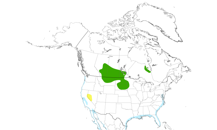 Range Map (North): Marbled Godwit