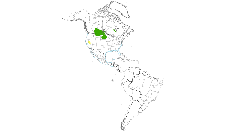 Range Map (Americas): Marbled Godwit