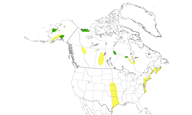 Range Map (North): Hudsonian Godwit