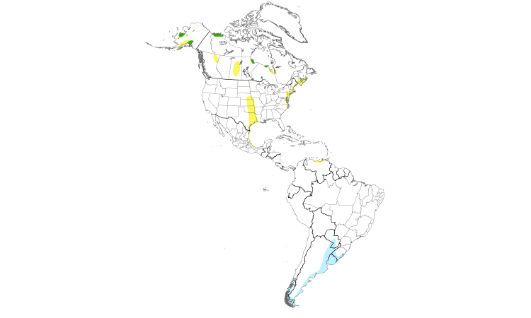 Range Map (Americas): Hudsonian Godwit