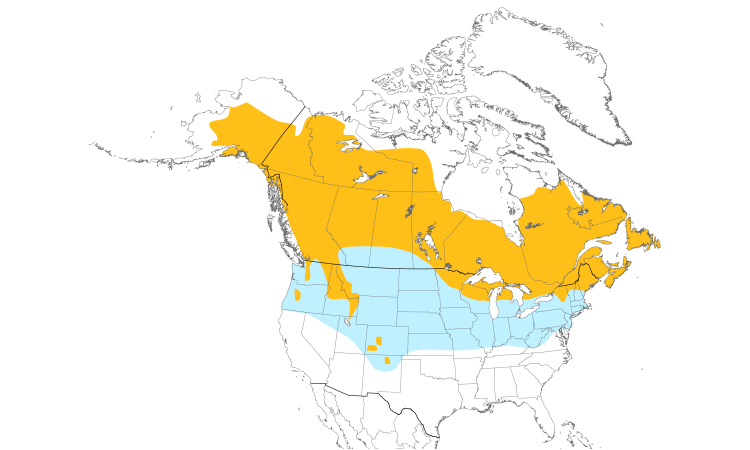 Range Map (North): White-winged Crossbill