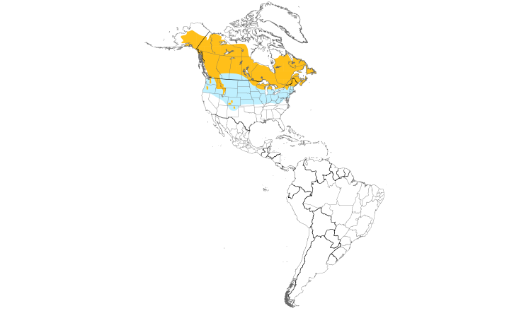 Range Map (Americas): White-winged Crossbill