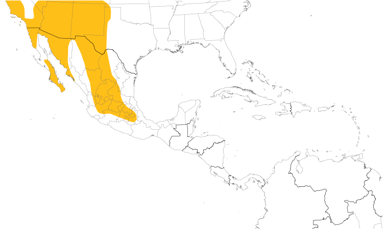 Range Map (Central): Western Screech-Owl