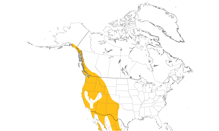 Range Map (North): Western Screech-Owl