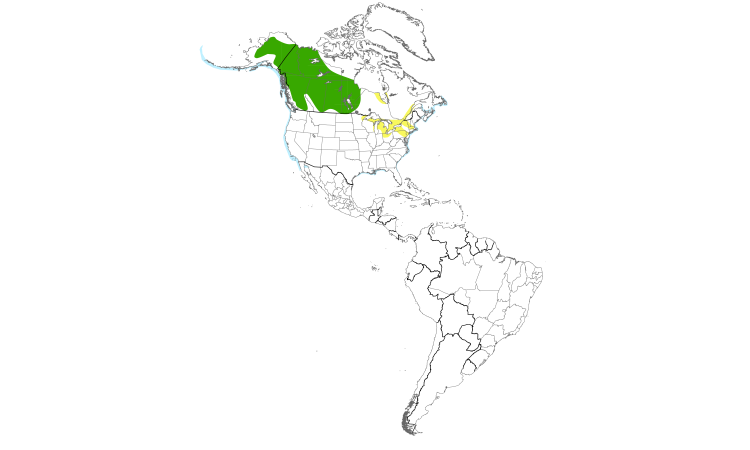 Range Map (Americas): White-winged Scoter