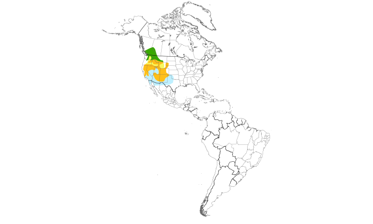 Range Map (Americas): Lewis's Woodpecker