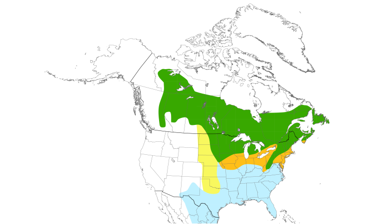 Range Map (North): Swamp Sparrow
