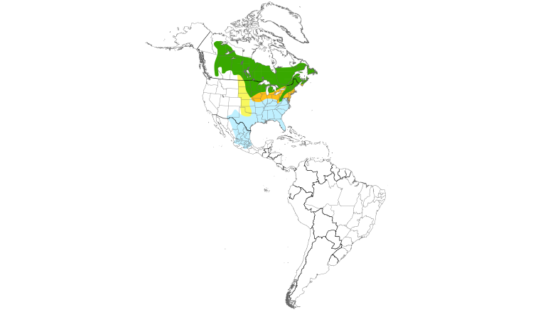 Range Map (Americas): Swamp Sparrow