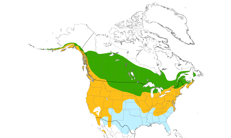 Range Map (North): Song Sparrow