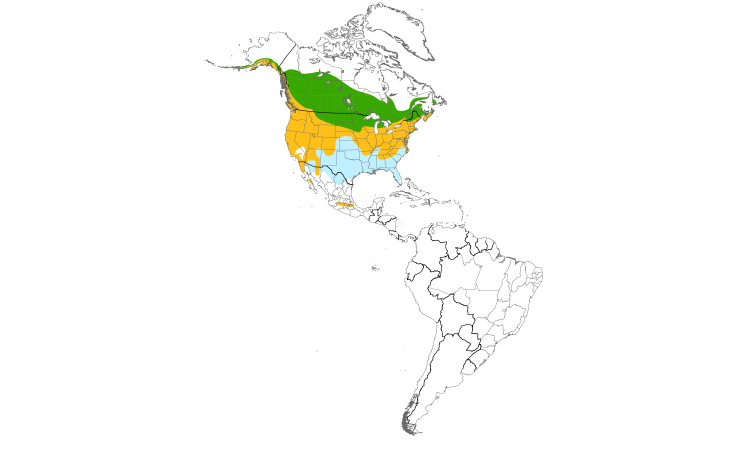 Range Map (Americas): Song Sparrow