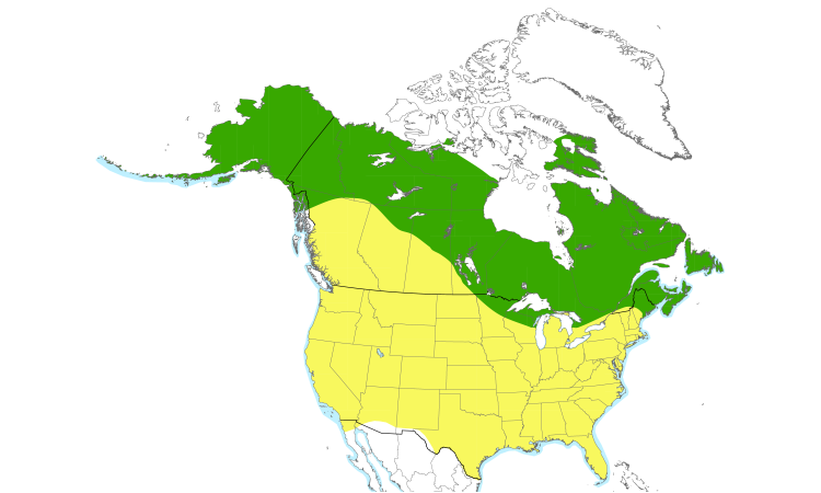 Range Map (North): Red-breasted Merganser