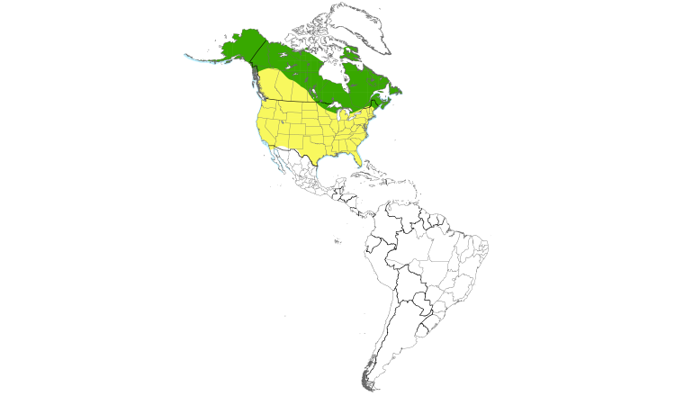 Range Map (Americas): Red-breasted Merganser