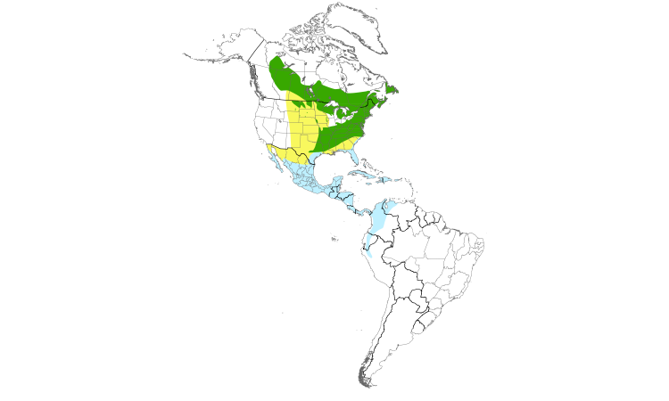 Range Map (Americas): Black-and-white Warbler