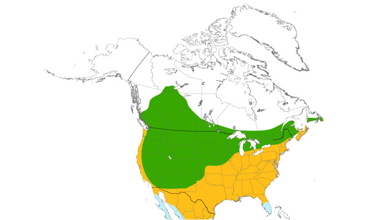 Range Map (North): Brown-headed Cowbird