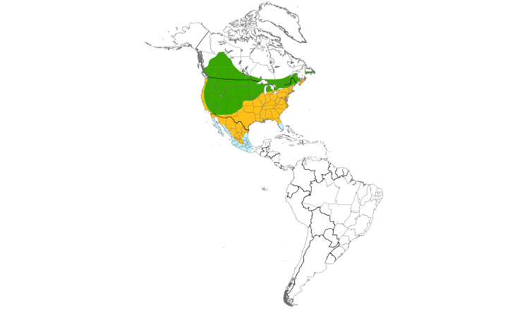 Range Map (Americas): Brown-headed Cowbird