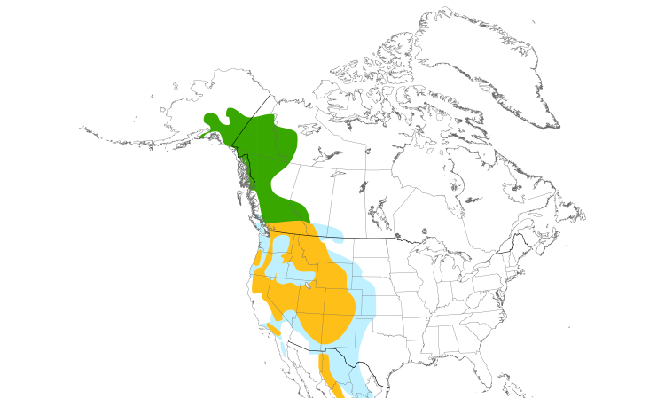 Range Map (North): Townsend's Solitaire