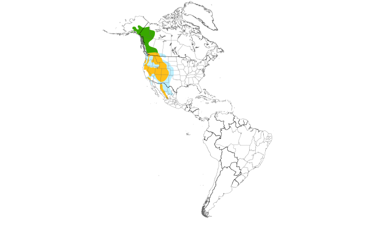 Range Map (Americas): Townsend's Solitaire