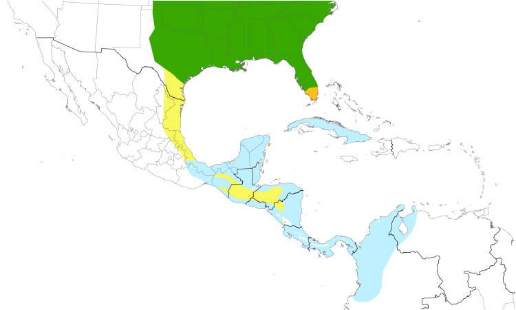 Range Map (Central): Great Crested Flycatcher
