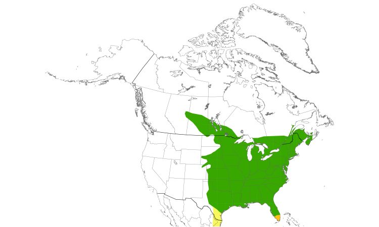 Range Map (North): Great Crested Flycatcher