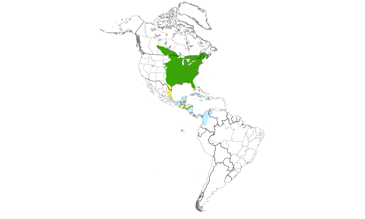 Range Map (Americas): Great Crested Flycatcher