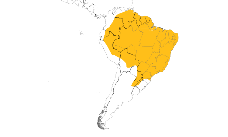 Range Map (South): Short-crested Flycatcher