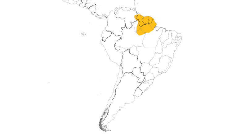 Range Map (South): Brown-bellied Antwren
