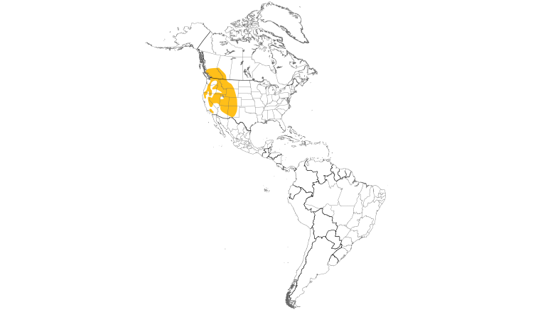 Range Map (Americas): Clark's Nutcracker