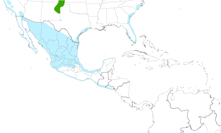 Range Map (Central): Long-billed Curlew