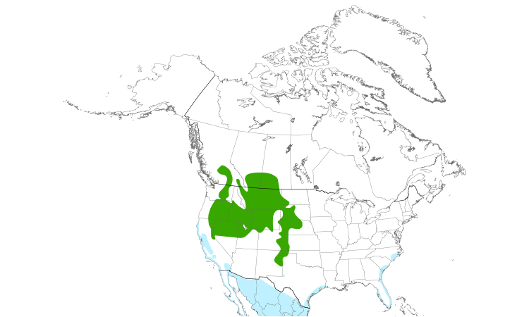 Range Map (North): Long-billed Curlew