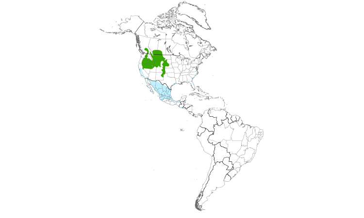 Range Map (Americas): Long-billed Curlew