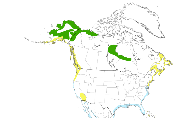 Range Map (North): Whimbrel