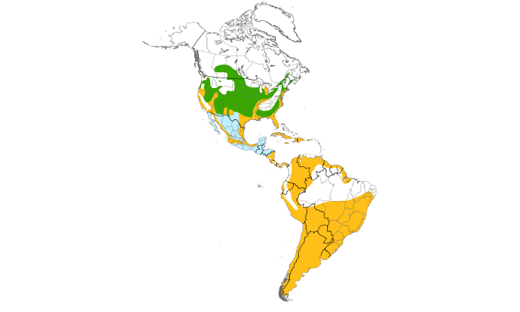 Range Map (Americas): Black-crowned Night-Heron
