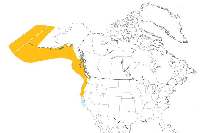 Range Map (North): Fork-tailed Storm-Petrel