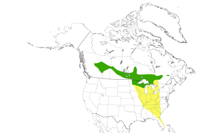 Range Map (North): Connecticut Warbler