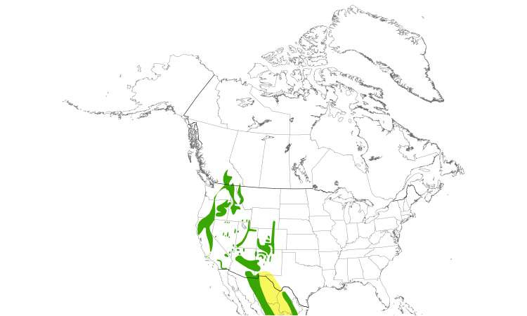 Range Map (North): Flammulated Owl