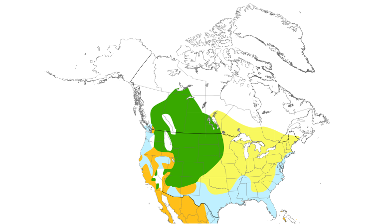 Range Map (North): Ruddy Duck
