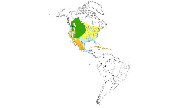 Range Map (Americas): Ruddy Duck