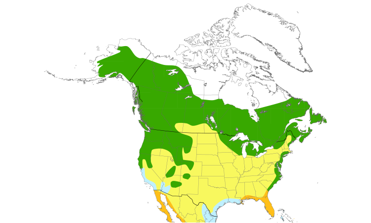 Range Map (North): Osprey